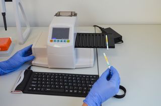 Mold Inspection, Testing & Remediation