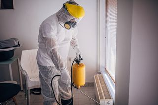 Mold Inspection, Testing & Remediation